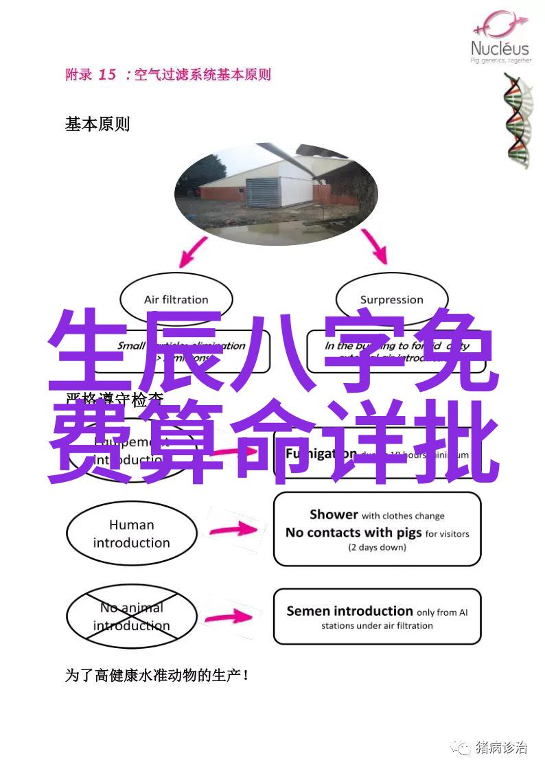 傅园慧为什么火到爆洪荒少女变网红表情包让你爱不释手