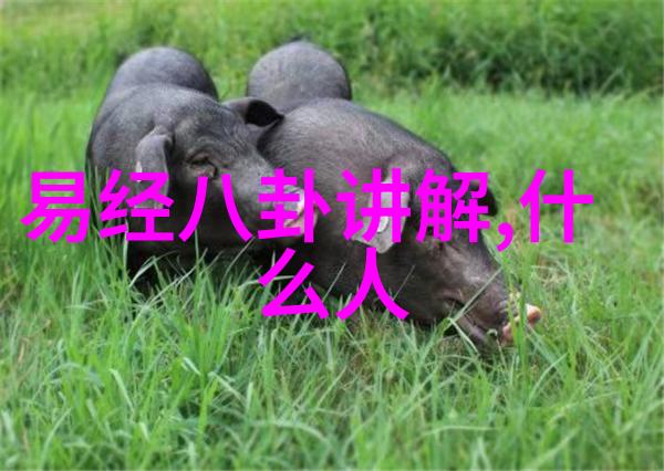 娱乐圈头条蜘蛛侠内地上映英雄远征欧洲暑期档一众神仙打架