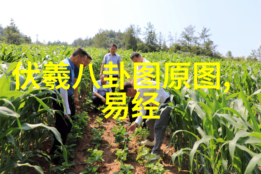 八卦象限古代中国占星术中的八卦及其对应的方位