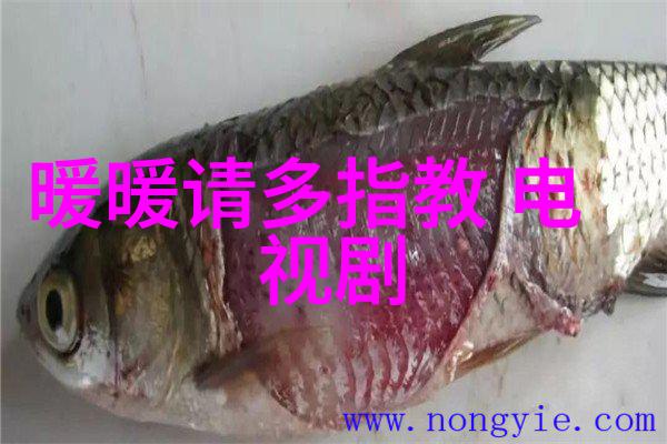 探秘深海巨兽揭开锕锕世界的神秘面纱
