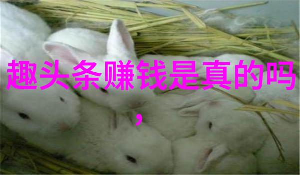 欧洲风情与美式魅力时尚写真的双重奏鸣