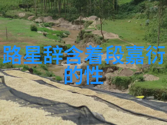 影幕下的时光长河久久影视的幻想篇章