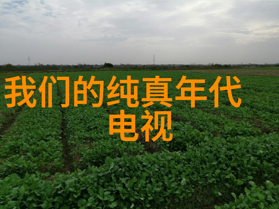 中外交的大海探索大陆与台湾之间的未解之谜