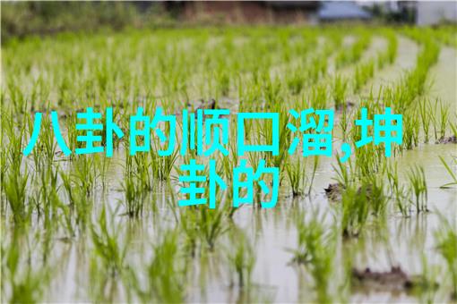 成人电影色情片成人影视性爱电影