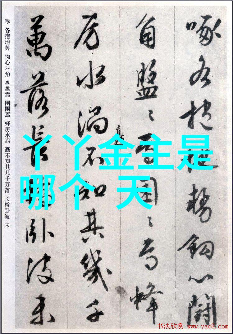 隐匿在网络深处的原图守卫一场关于扫码与真相的无声追逐