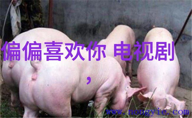为什么手机上查不到检验报告核酸为什么手机上查不到检验报告