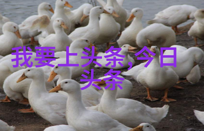 一扫而过免费利用图片识别技术找回原图的神奇网站