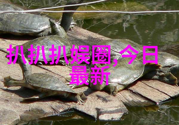 王子慧明日之子大牛与王子慧实乃成人娱乐网中双胞胎姐妹的谜题吗