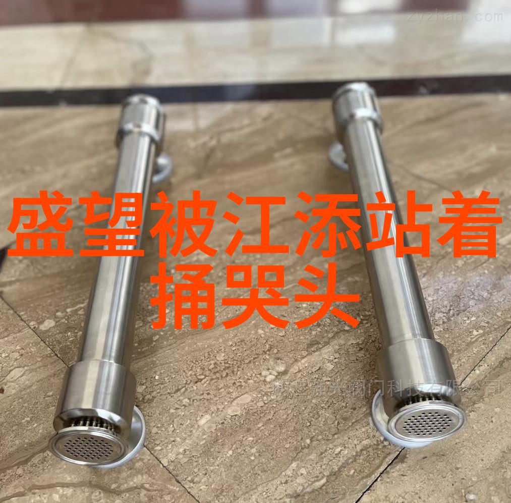 美丽的篇章探索美女图片写真背后的艺术与魅力
