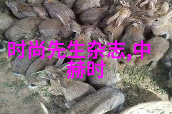 先天中天后天八卦图解析深入剖析先天的宇宙结构与后天八卦的应用