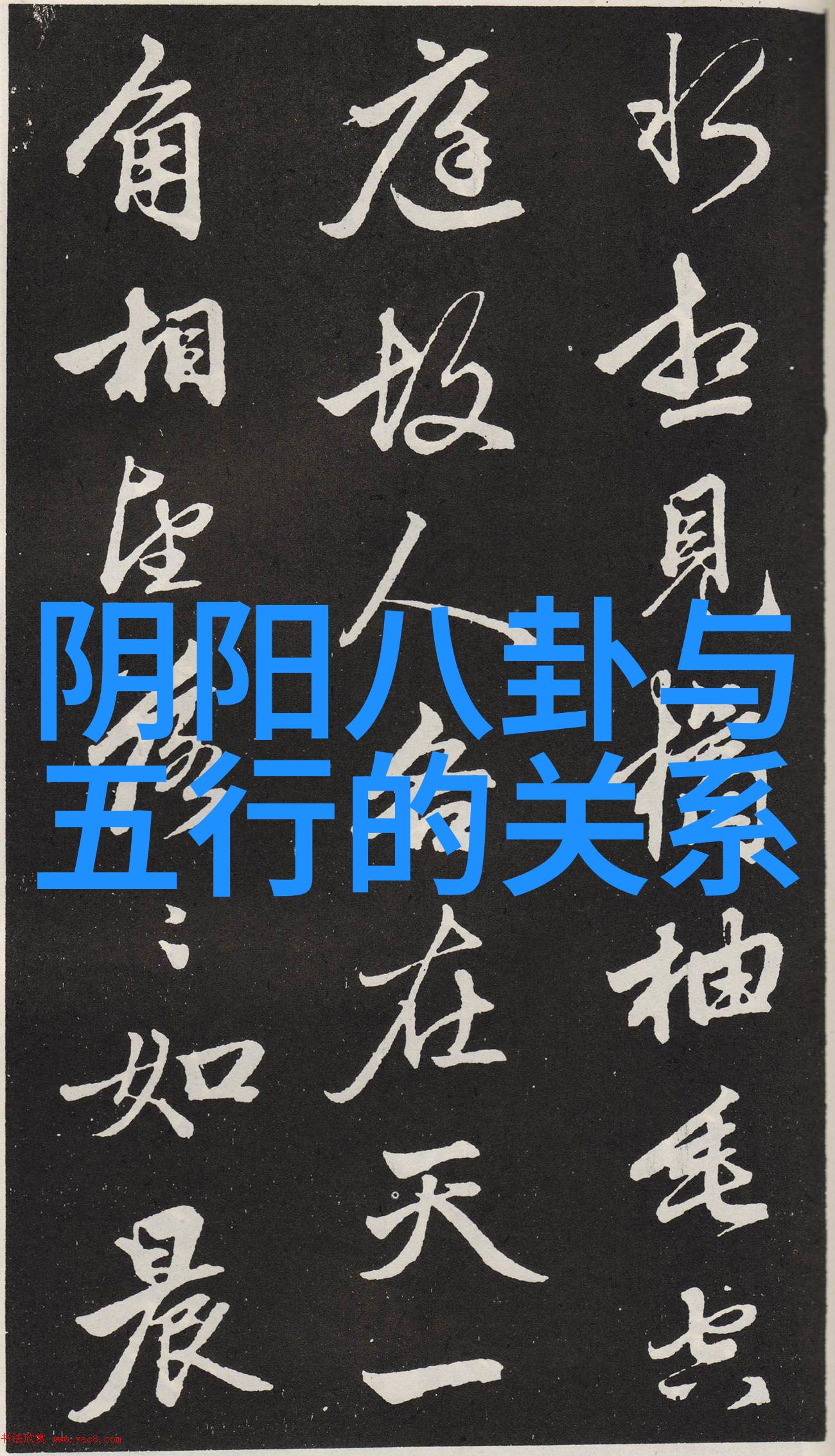 赵英俊逃离双十一回到明天数据驱动收官路线引人注目