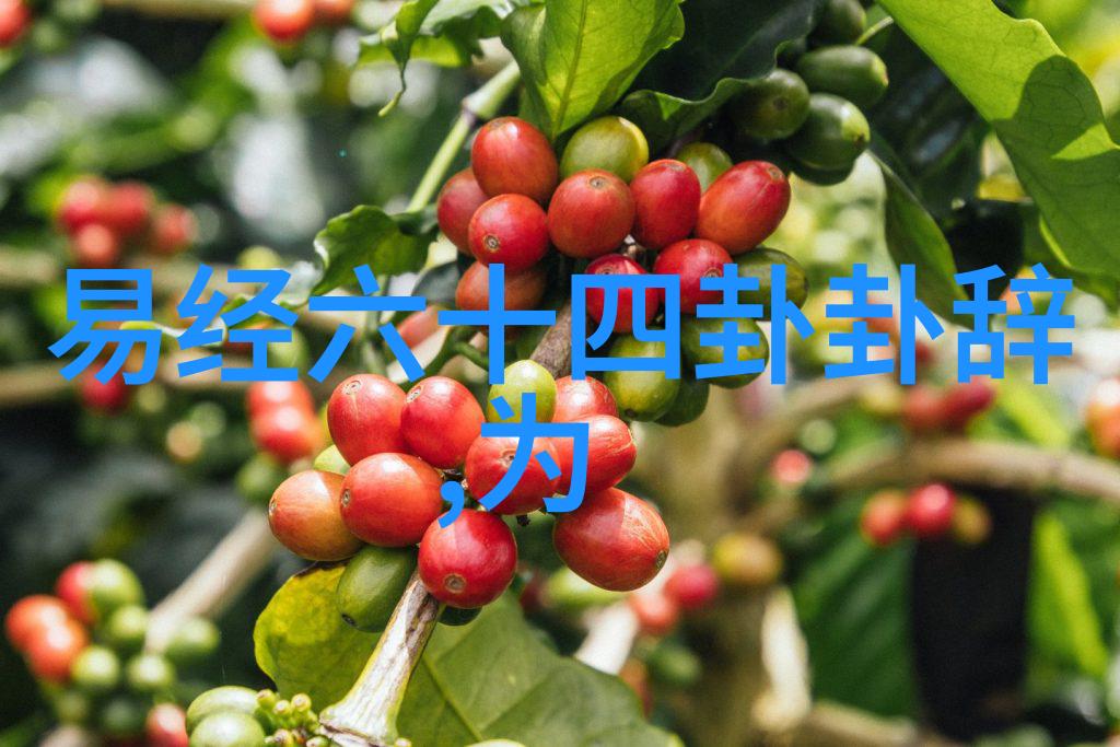 网红界的风云变幻网红雪梨为什么脸一沉