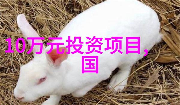 艺术图片我眼中的画卷如何在生活中捕捉美的瞬间