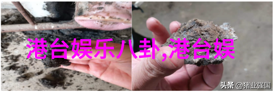 电影之王探索全能影视制作人的传奇故事