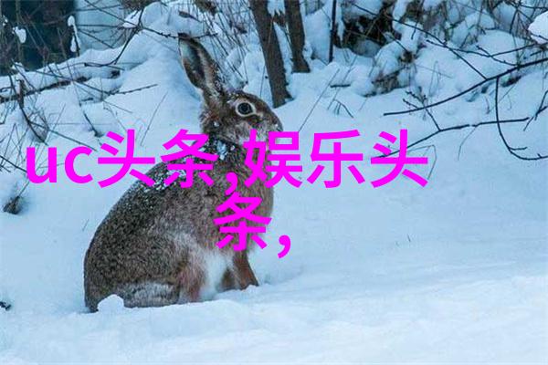 探索写真拍摄艺术捕捉瞬间的美学与情感