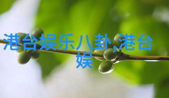 银发轻扬新白发魔女传的故事背后