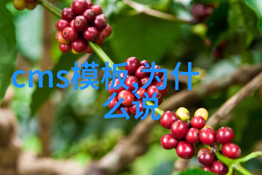 台湾偶像明星的隐秘生活背后的爱情前夕的宴会与无人知晓的趣事