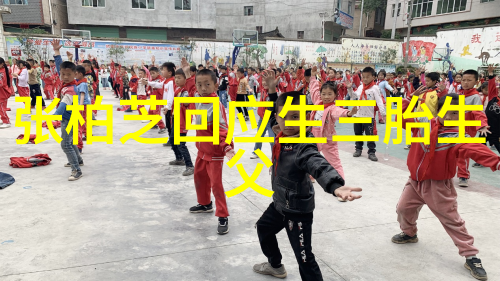 诗意淡雅的网名反复奏响美妙旋律唯美网名大全