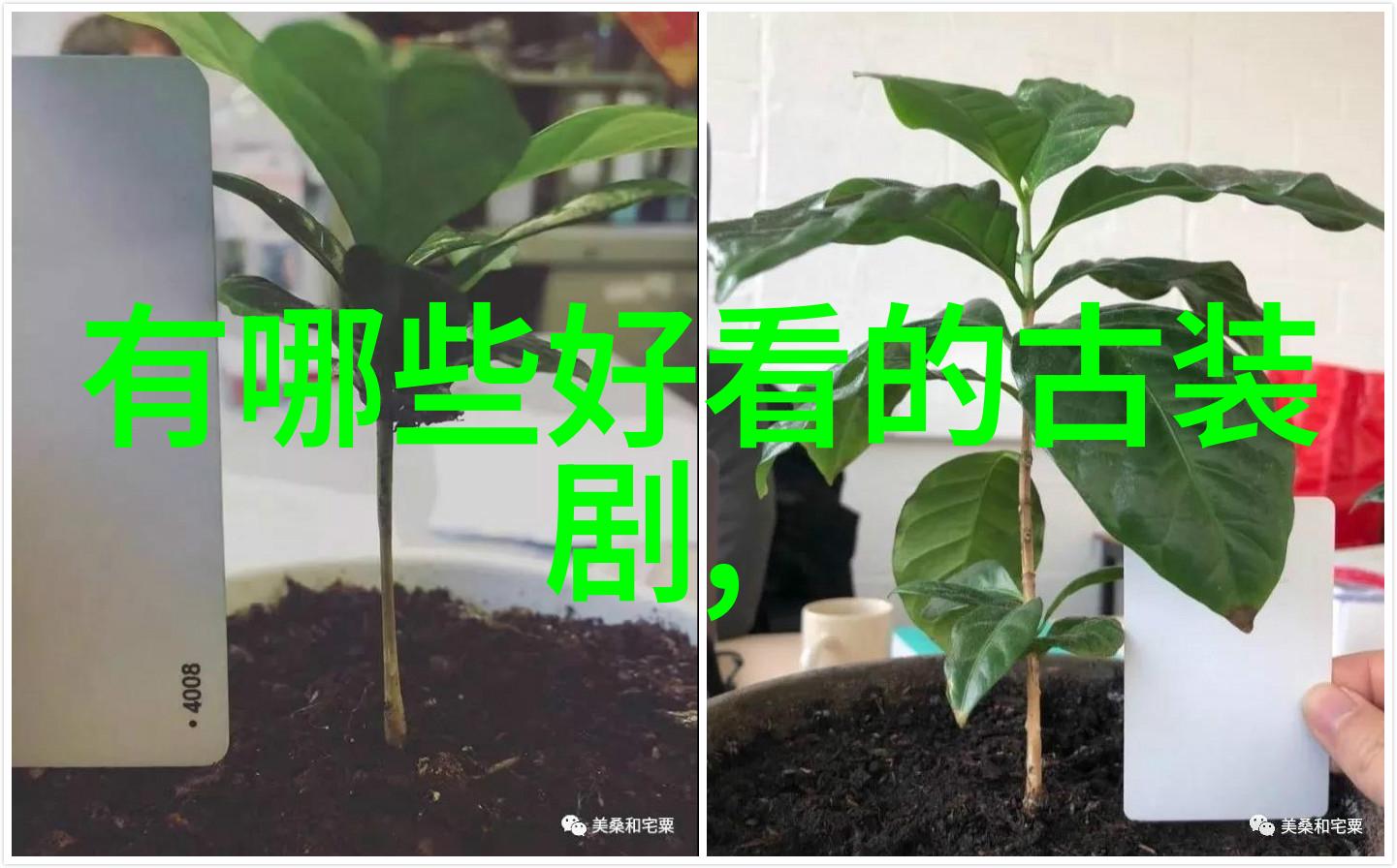 今日头条抖音短视频带来的新时代娱乐现象