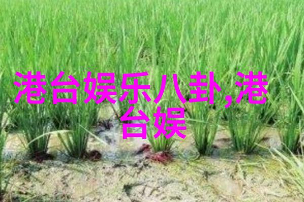 王俊凯宣布退出娱乐圈粉丝们如何应对这一突如其来的消息