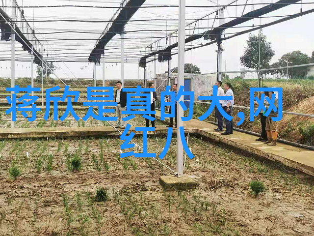 神马影院我的电影梦想场所