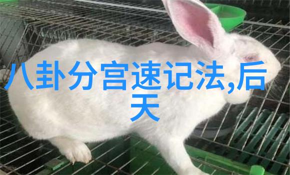 我的兄弟姐妹少年江湖篇上线开播