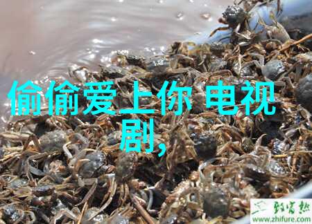 音符舞动抖音背后的十首热门旋律