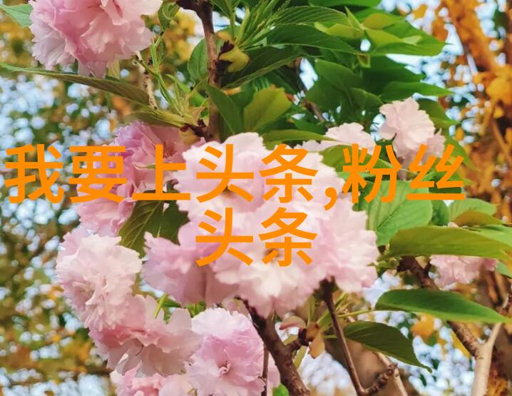 欢乐不打烊趣味无限的休闲娱乐大冒险