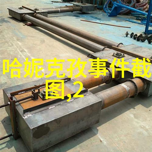 温暖掌心的宠儿们我们与它们的故事