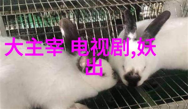 镜头下的梦想天美影视传媒有限公司的无价馈赠