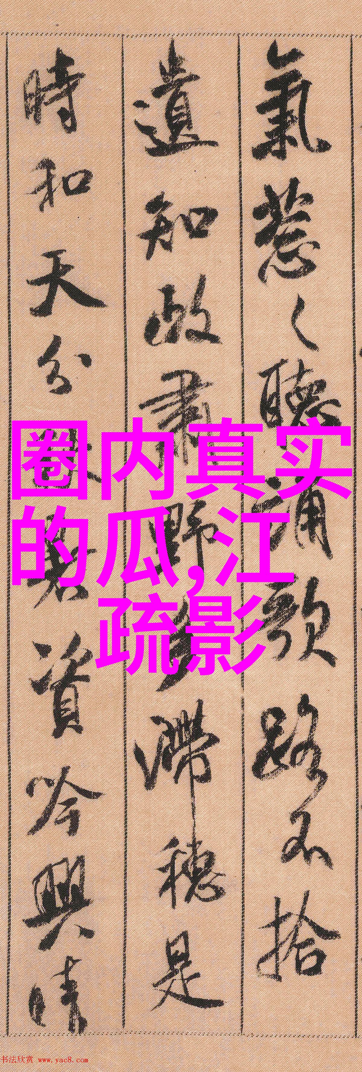 讲八卦是什么意思金子涵是美国国籍混血儿吗她个人资料简介