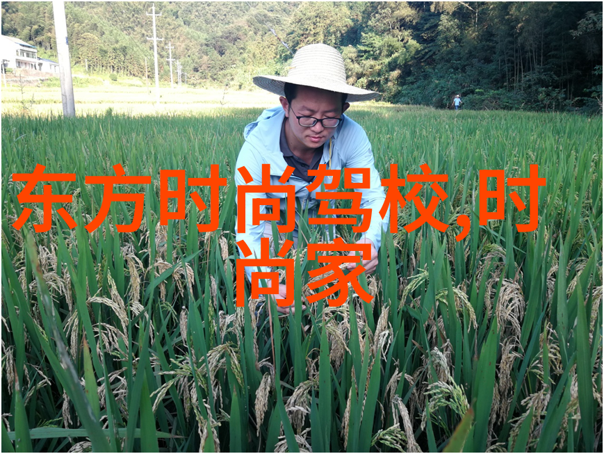 触动人心的瞬间那些让我们泪流满面的图片背后故事
