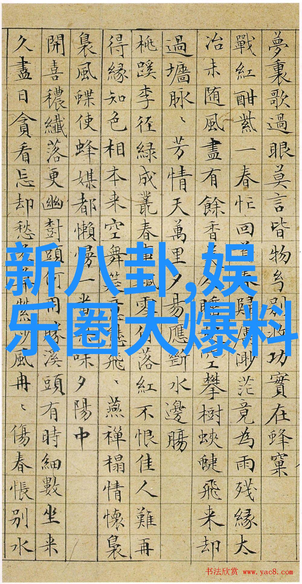 神秘森林深林中隐藏的宝藏探索大自然中的摄影作品
