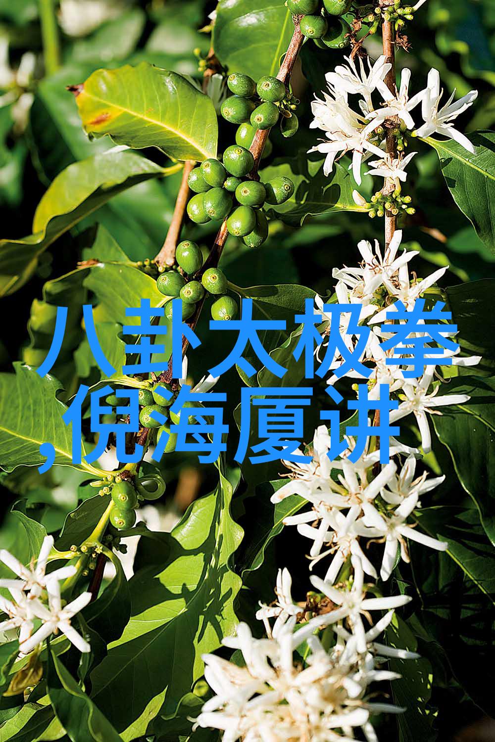 忘返