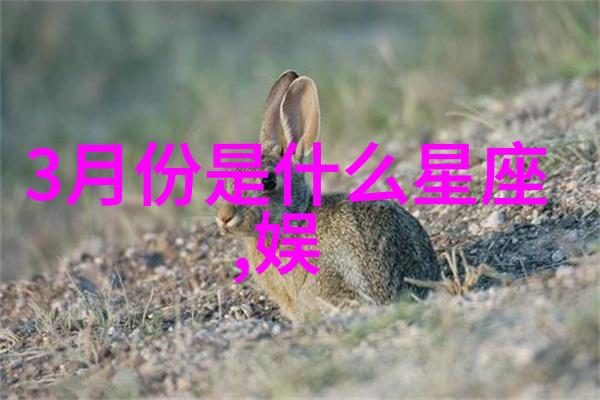 苏州时尚舞台上的网球奇迹优衣库祝贺德约科维奇再创澳网三冠霸业