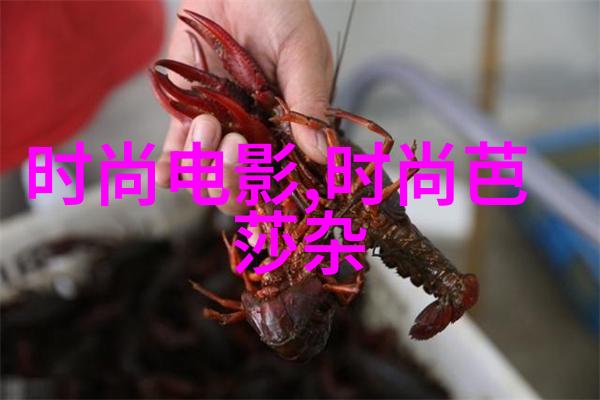 美少年学社在校园文化中扮演着什么角色