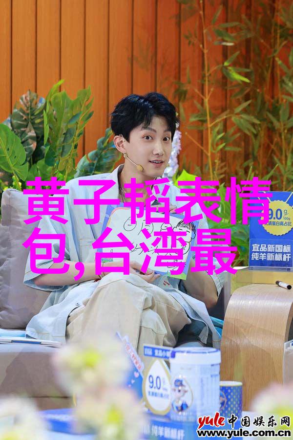 女神的微笑探秘美女写真集背后的艺术与魅力