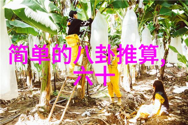 伊甸园综艺的成功之道在哪里