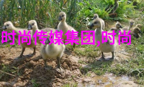 八卦不落揭秘五行正品图片大全的笑料宝库