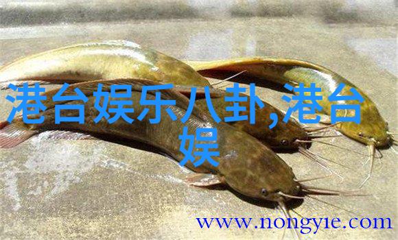 解锁秘密武器提升个人魅力的顶级高定发髻技巧总结