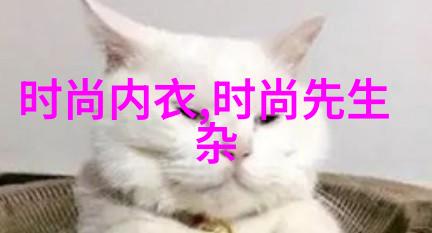 探索大陆的奥秘从山脉到湿地自然奇观的多样性