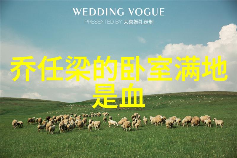 在未来软件更新中对于低内存配置如 16 GiPad的影响会怎样进行调整和优化