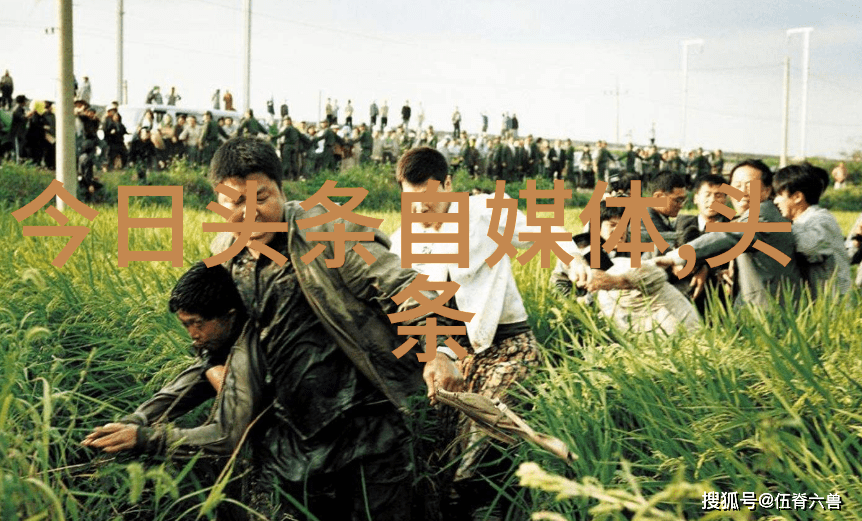 图片大全好看-视觉盛宴精选美图的艺术展示