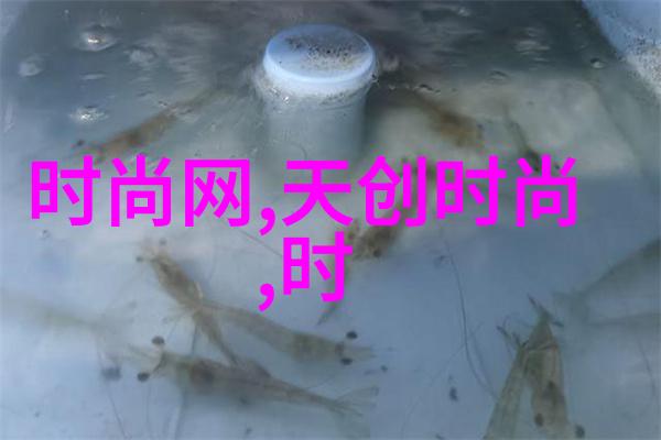 回响中的旋律时间的倒流与音符的重现