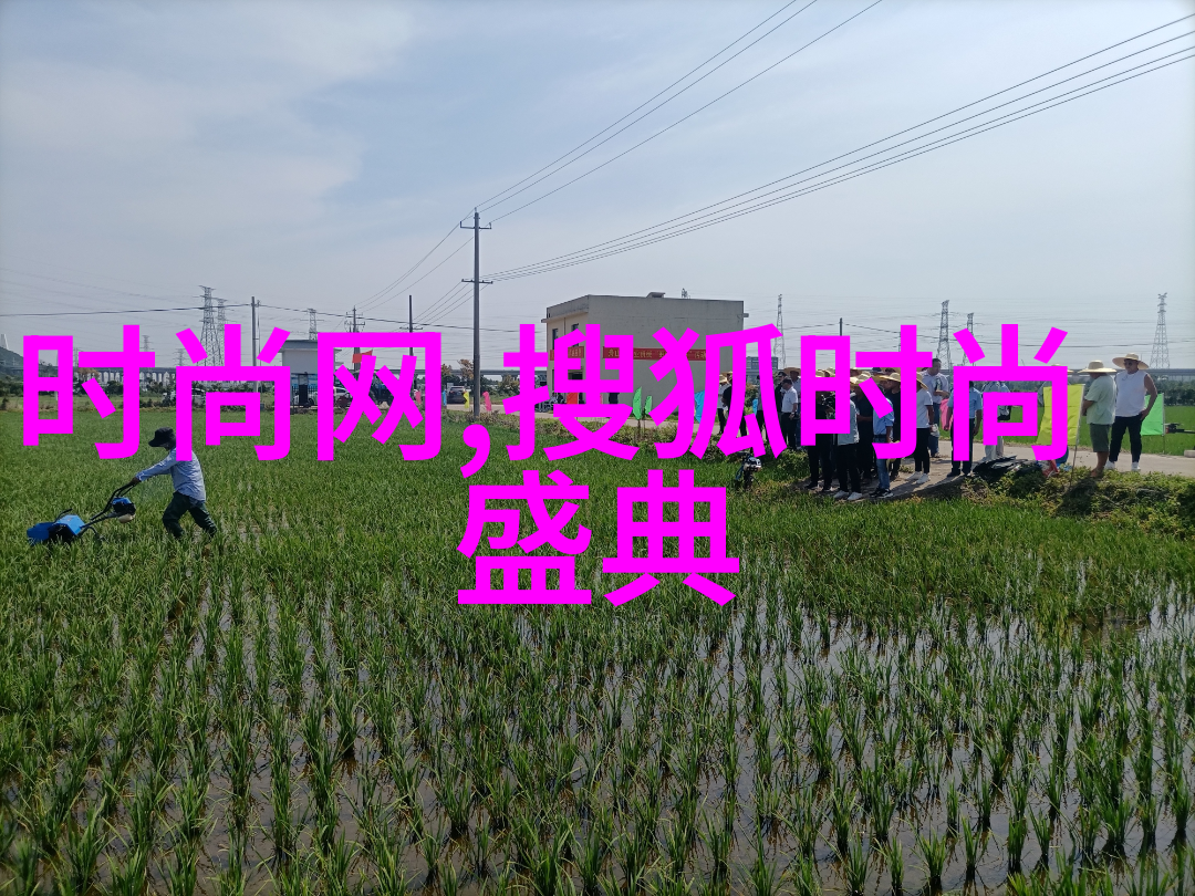 主题我和我的数字好友02319的故事