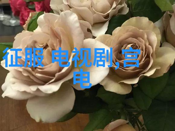 Intel 12代酷睿处理器性能强劲的新一代电脑核心