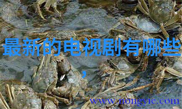银河大秀场宇宙最灿烂的星光盛会