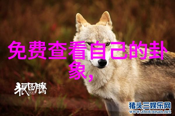 综艺明星借钱娱乐圈的经济秘密