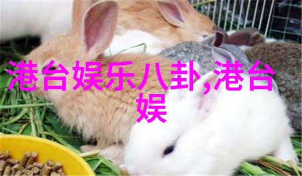 微鲸大作故宫文物修真上映轻松解读年轻人八卦趣味