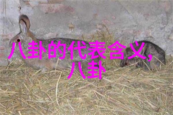 星辰下的幻想云端影院的无限魅力